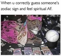 a cat dressed up as a princess next to some cards