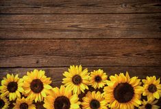 yellow sunflowers on wooden background with space for text