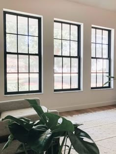 a living room with three large windows and a rug on the floor in front of it