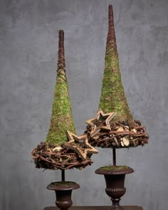 two vases with moss covered trees on them