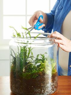 a person cutting plants in a jar with scissors