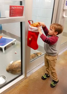 a little boy that is standing in front of a window with a stuffed animal on it