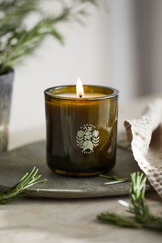 a starbucks candle sitting on top of a table next to a potted pine tree