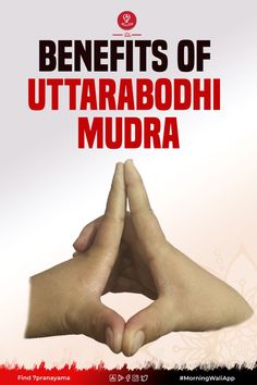 Uttarabodhi Mudra is a Buddhist hand posture or gesture that dispels fear and leads to enlightenment. This mudra is mostly known as the mudra for enlightenment. Kali Mudra, Uttarabodhi Mudra, Forward Head Posture Exercises, Vicks Vaporub Uses, Yoga Facts, Chakra Health, Forward Head Posture