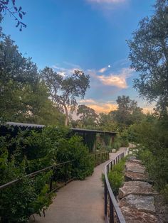 the walkway is surrounded by trees and rocks