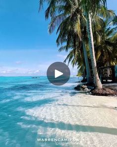 the beach is lined with palm trees and blue water