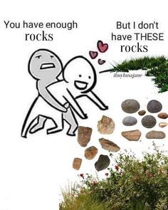 an image of rocks and grass with the words, you have enough rocks but i don't have these rocks