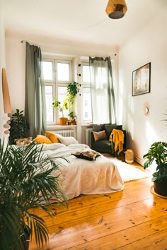 a bed sitting in a bedroom next to a window with plants on top of it