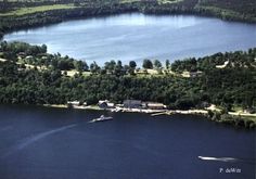 an aerial view of a lake surrounded by trees