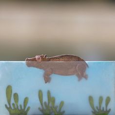 a small lizard sitting on top of a blue tile