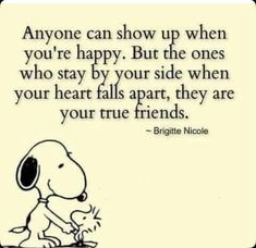 Cherish Life Quotes, Eeyore Quotes, Charlie Brown Quotes, Appreciate Life Quotes, Dog Quotes Love, Snoopy Funny, Sunshine Quotes, Inspiring Thoughts