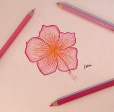 a drawing of a pink flower and two pencils