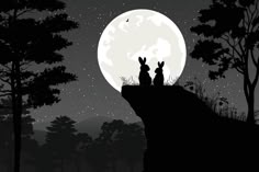 two rabbits sitting on the edge of a cliff at night