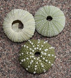 three green and white donuts sitting on top of a floor next to each other