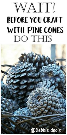 pine cones in a basket with the words wait before you craft with pine cones do this