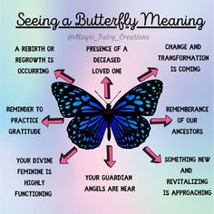 Drawings With Meaning Butterfly Butterflies With Meaning, Seeing A Butterfly Meaning, Seeing Butterflies Meaning, What Does A Butterfly Symbolize, Butterfly Witchcraft, Butterfly Meaning Spiritual, Blue Butterfly Meaning, Butterfly Spiritual Meaning, Magical Butterflies