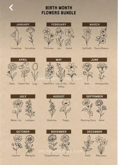 the birth month flowers and their names