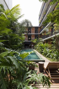 an outdoor swimming pool surrounded by greenery and trees in the middle of a building