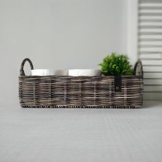 two bowls in a wicker basket next to a potted plant on a table