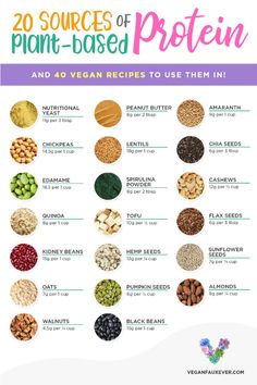 Protein Cupcakes, Vegan Protein Sources, High Protein Vegetarian Recipes, Protein Dinner, Baking Powder Uses, Vegetarian Protein, High Protein Vegan, Vegan Nutrition, Diet Guide