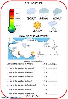 weather worksheet for kids to learn how to describe the weather in english and spanish