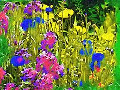 an image of colorful flowers in the grass