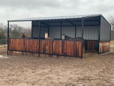 three horses are standing in an enclosed area