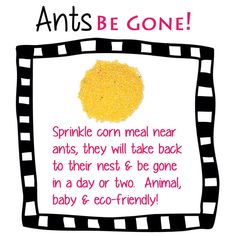 an iphone screen with the words ants be gone written in pink and yellow on it