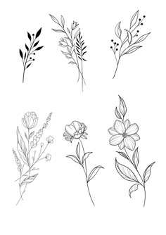 four different types of flowers drawn in black and white on a white background, each with one single flower