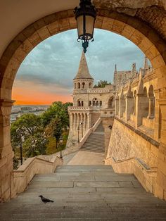 a bird is sitting on the steps leading up to an archway that leads into a castle like building