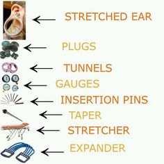 a diagram showing the different types of ear plugs