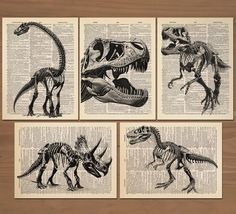 four dinosaur prints on an old book page, each with a different type of skeleton