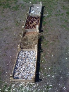 three wooden boxes filled with shells on top of a grass covered field next to a fire hydrant