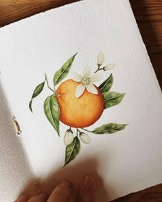 a hand is holding an orange with leaves and flowers on it, painted in watercolor