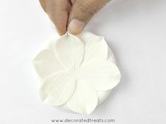 a person is making a flower out of clay with their hands on the top of it