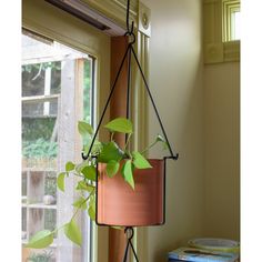 a potted plant hanging from a window sill next to a stack of books