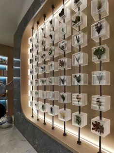 the wall is filled with many different types of plants