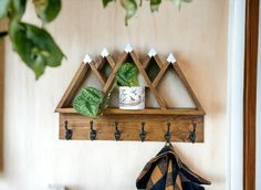 a potted plant sitting on top of a wooden shelf next to a coat rack