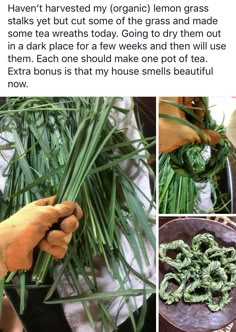 someone is holding up some green plants to show them how they are grown and what they do