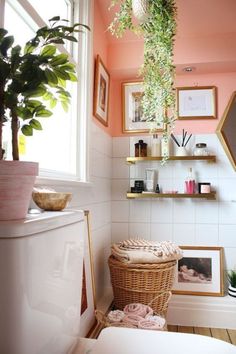 a white toilet sitting next to a window in a bathroom under a potted plant