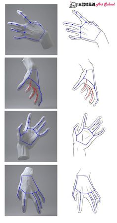 four different views of hands with blue and red lines on each hand, one showing the middle