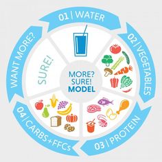 a circular diagram with the words, more sure model and various food items in it