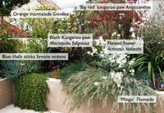 an assortment of different types of plants in a garden