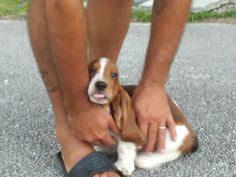 a dog is being petted by its owner on the street with his shoes off