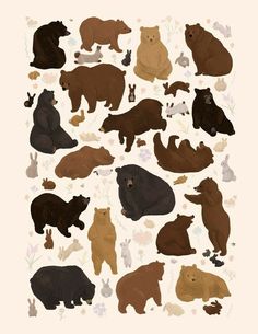 an illustration of bears and other animals on a white background