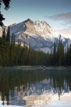 the mountains are reflected in the still water of this lake, with trees on both sides