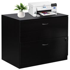 a printer is sitting on top of a file cabinet next to a potted plant