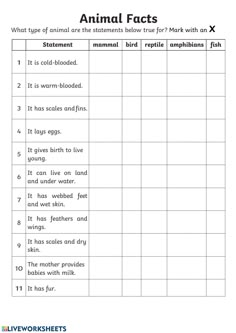 an animal fact worksheet