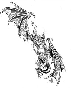 a black and white drawing of a dragon flying through the air with its wings spread