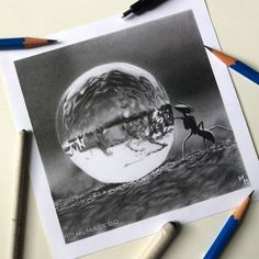 pencils are next to a drawing of an ant in front of a full moon